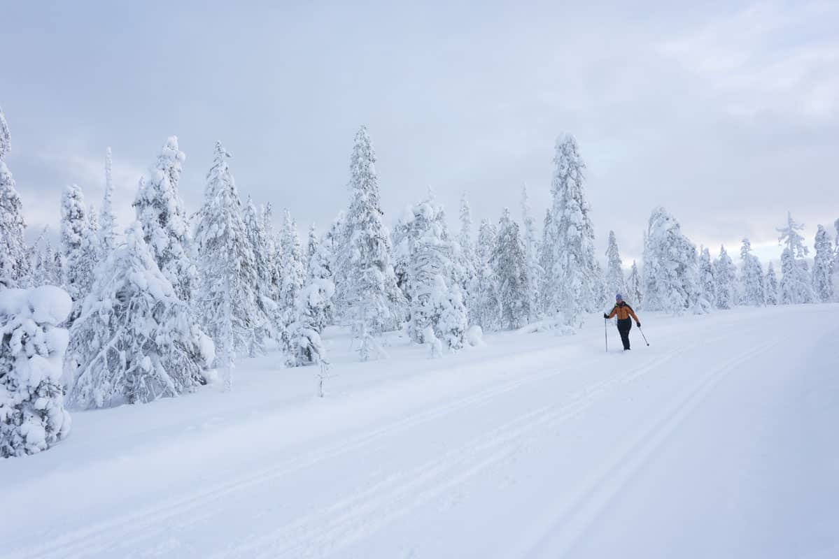 Cross Country Skiing in Finnish Lapland