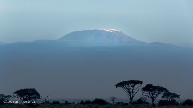 Mount Kilimanjaro at Twilight