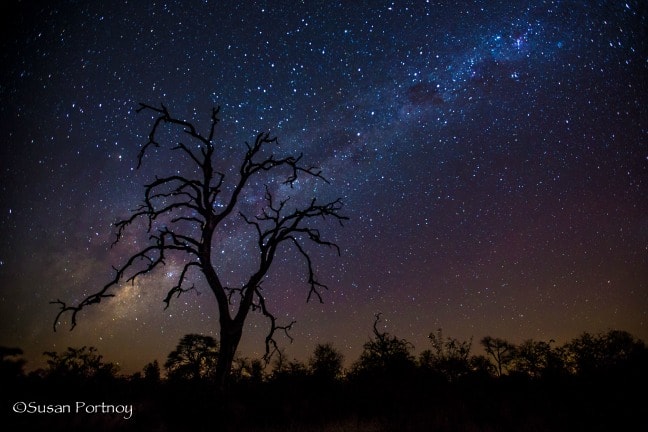 Milky Way over South Africa