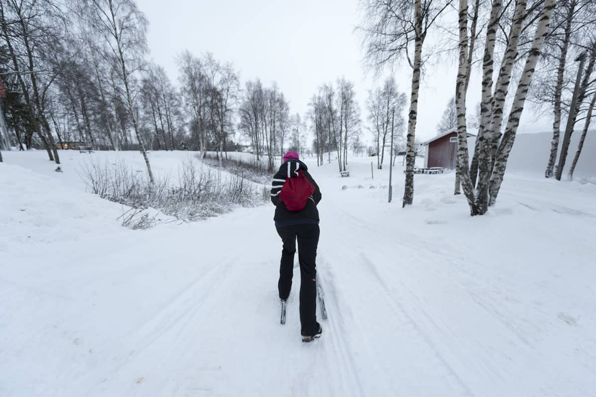 Finnish Lapland: Kick sled