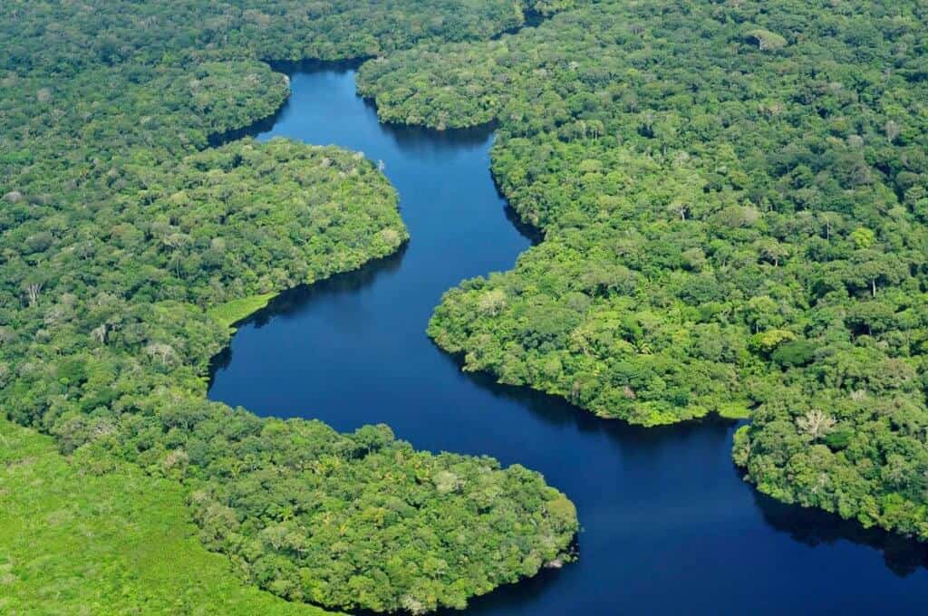 10 Most Beautiful Forests: Amazon