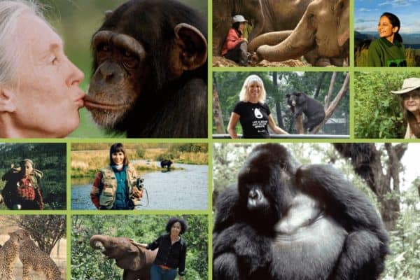 10 Inspirational Animal Rights Activists (Who Happen to Be Women)