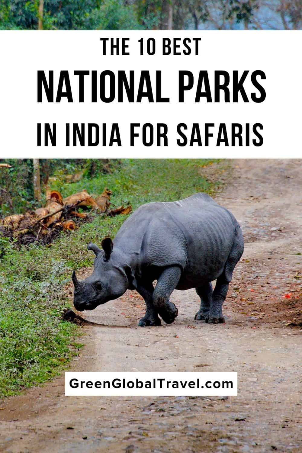 The Top 10 National Parks in India for Indian Safaris where you can see tigers, leopards, one horned rhinos, sloth bears, and more! | indian national park | important national parks in india | best national parks in india | famous national parks in india | best jungle safari in india | sanctuaries and national parks in india | best tiger reserve in india | best tiger safari in india | best park in india