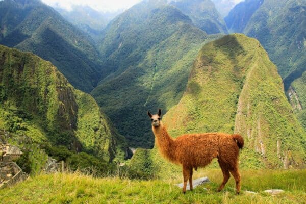 best places to visit in south america