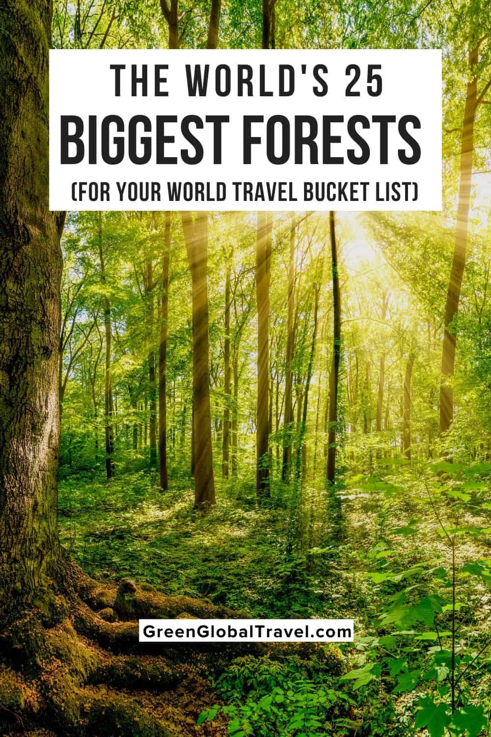 The 25 Biggest Forests (For Your World Travel Bucket List) including Forests in America, African Forests, Asian Forests, European Forests and more!