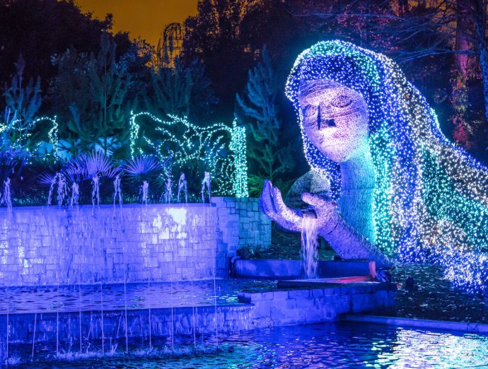 Atlanta Christmas Lights - Atlanta Botanical Gardens