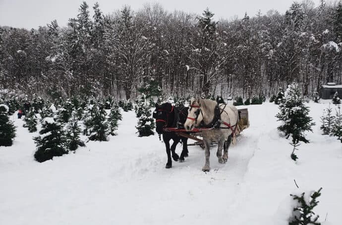 Christmas in Vermont - Best Places to Spend Christmas in the USA