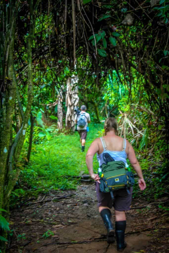 Ecotourism in Costa Rica -Hiking in Corcovado National Park