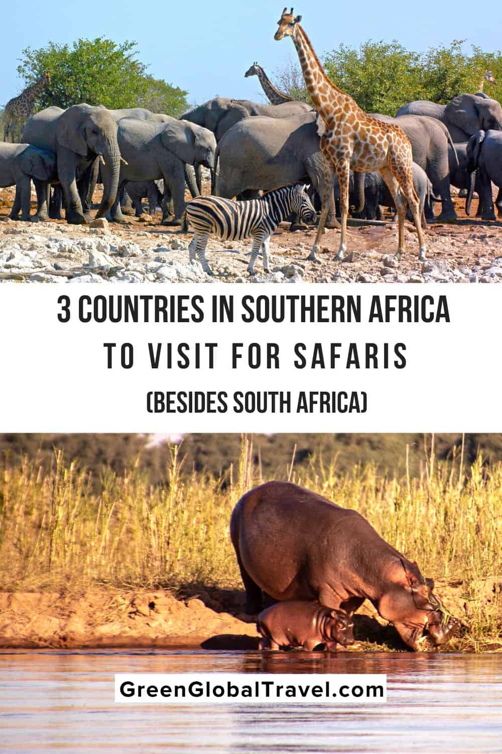 3 Countries in Southern Africa Worth Visiting (Besides South Africa) for wildlife safaris. Botswana, Namibia, and Zambia are all burgeoning breakout destinations for a Southern African safari. | south african countries | best countries in africa | countries in southern africa | south africa region | southern african countries | countries of south africa | best countries to visit in africa | countries of southern africa | best countries for safaris in africa | southern africa region |