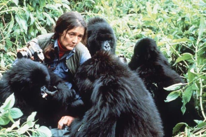 Inspirational Women & Wildlife Conservationist- Dian Fossey