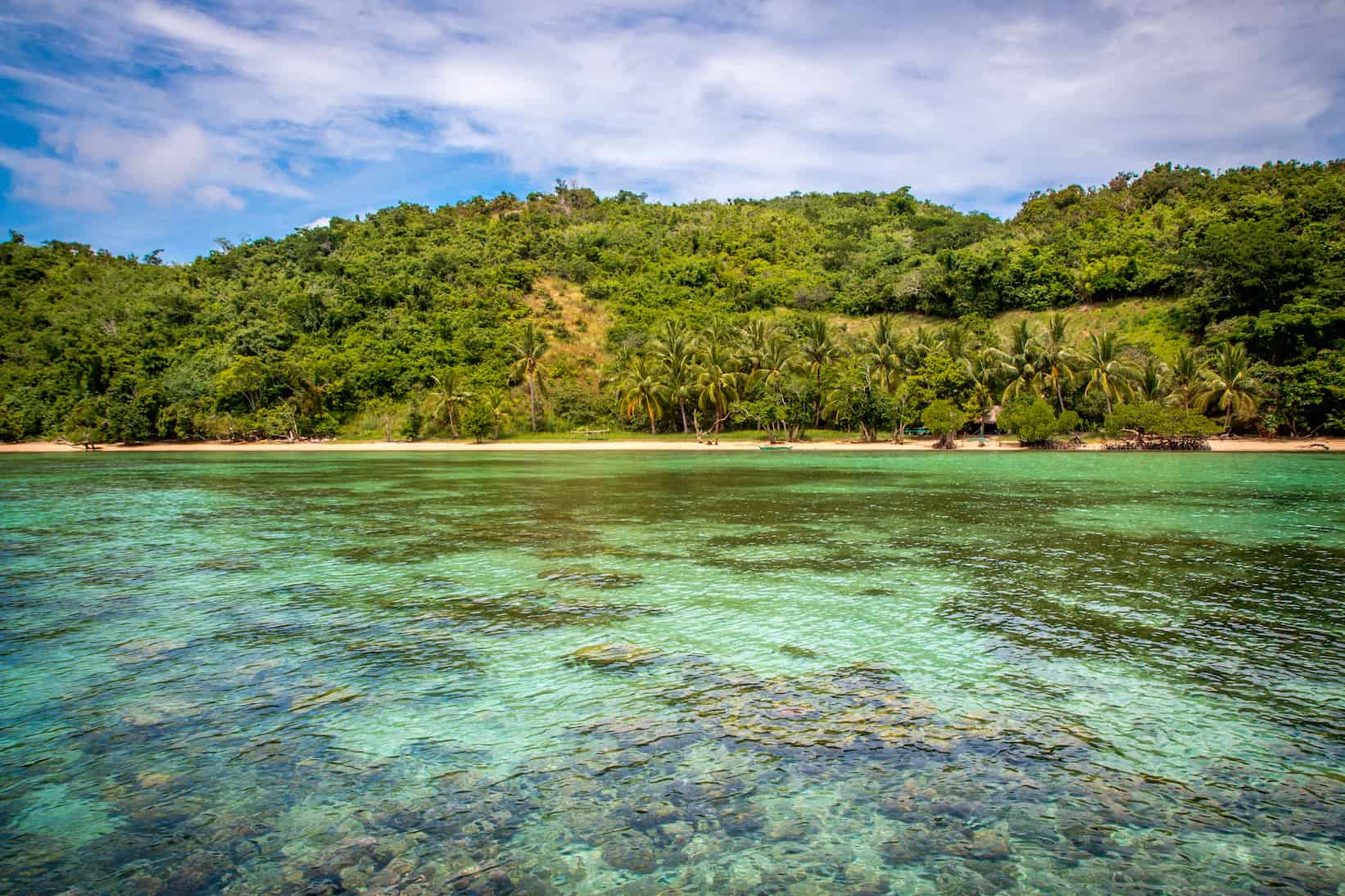 Dimalanta Island in Coron, Palawan