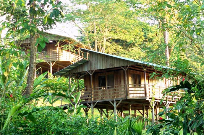 Eco Lodge Costa Rica - Selva Banaito Lodge