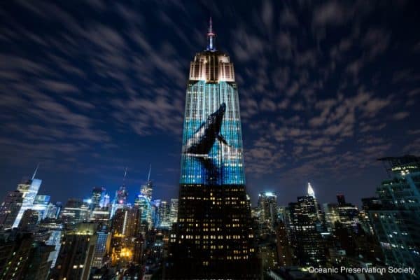 Racing Extinction Image Projected on Empire State Building