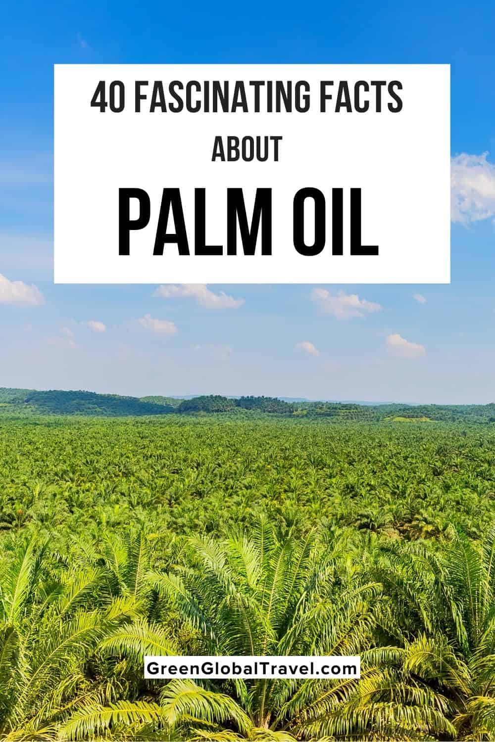 40 Fascinating Facts about Palm Oil including Deforestation for Palm Oil, Palm Oil & Orangutans, Facts About Sustainable Palm Oil, Palm Oil Products List and more!