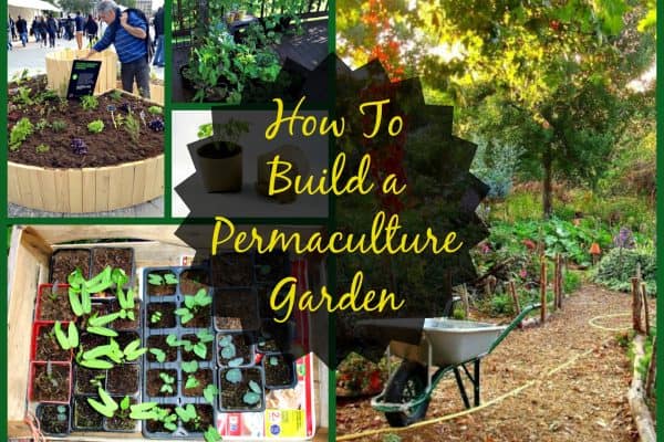 How to Build a Permaculture Garden