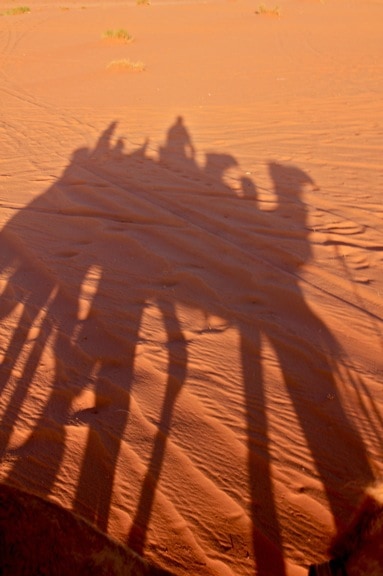 Camel_Trek_Captain's_Camp_Wadi_Rum