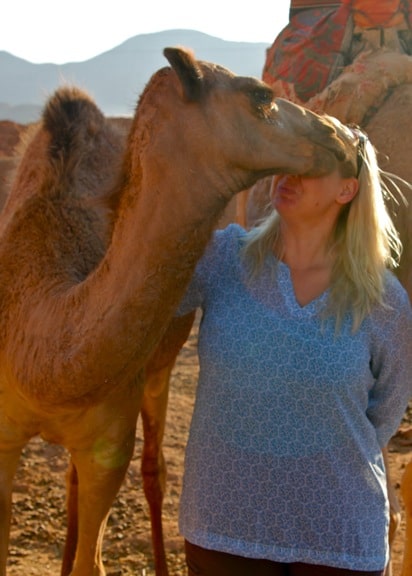 Baby_Camel_Gamal_Captain's_Camp_Wadi_Rum