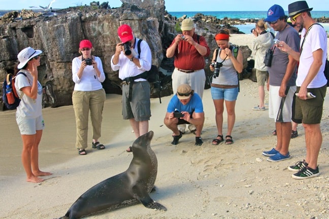 Galapagos Islands Conservation EcoTours