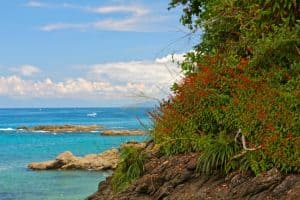 Ecotourism in Costa Rica- Caño Island Biological Reserve Beach, Costa Rica