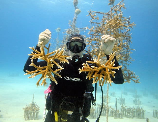 Coral Restoration Foundation Founder Ken Nedimyer