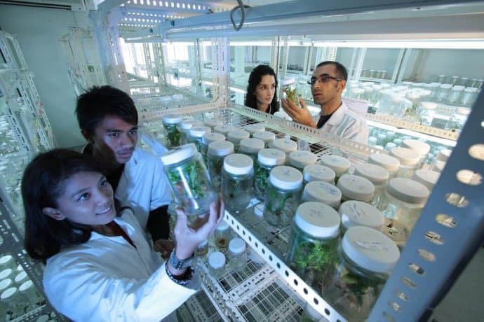 Plant Biotechnology Laboratory