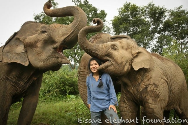 Lek Chailert, the Elephant Whisperer of Elephant Nature Park