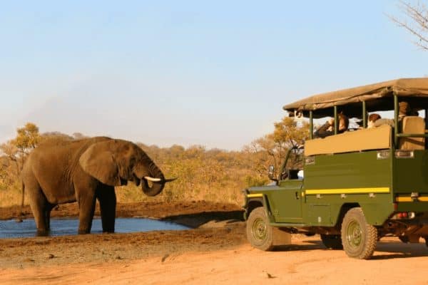 Best National Parks in Africa for Wildlife Safaris