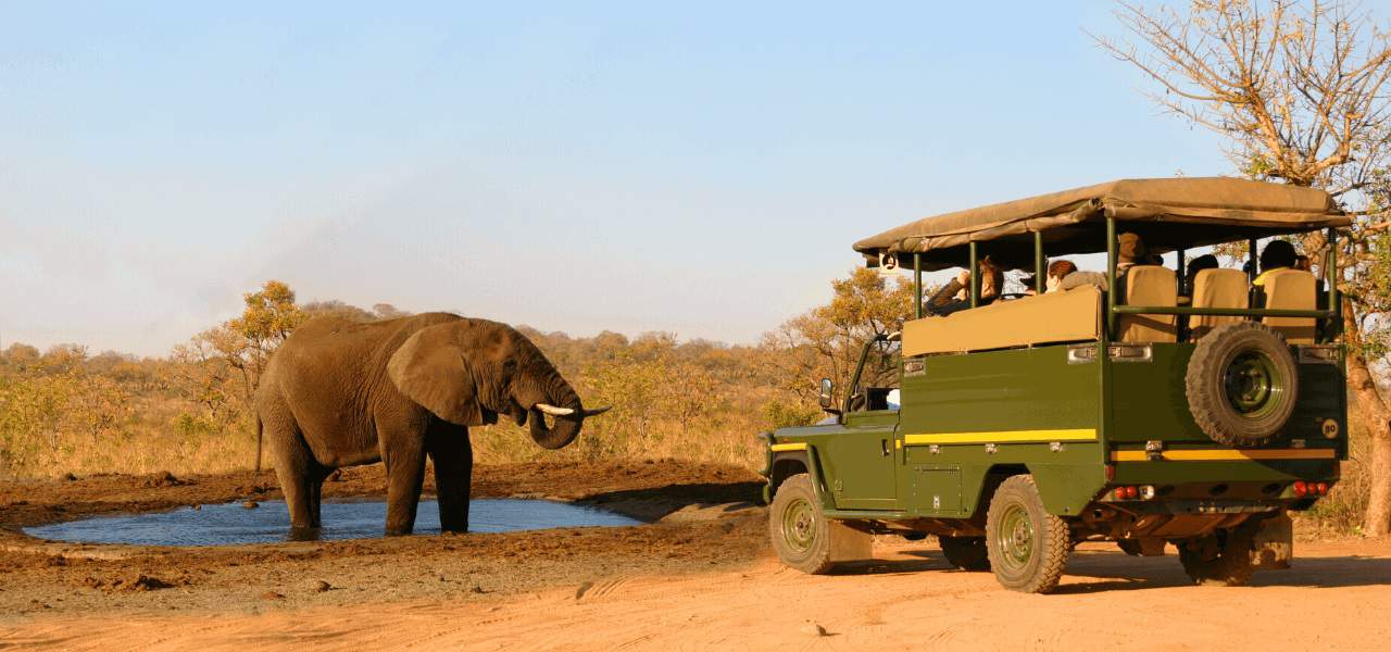 Best National Parks in Africa for Wildlife Safaris