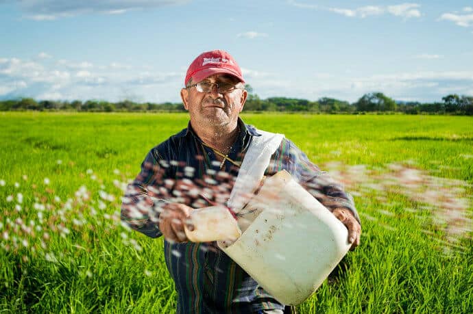 Farmer spreading GMO seeds