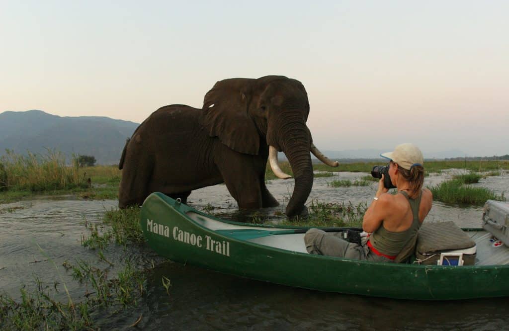 Safari tours in africa: Okavango Delta, Botswana. Photo by Dereck Joubert.