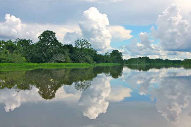 Reflection in the Yatapa River Peruvian Amazon