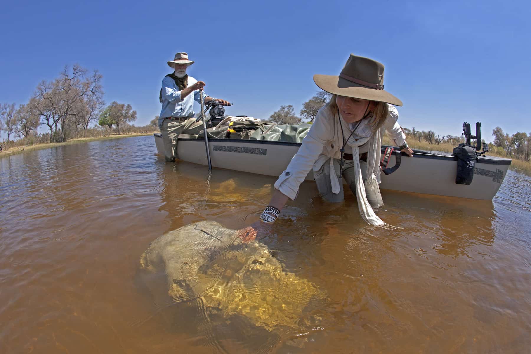 Wildlife filmmakers Dereck and Beverly Joubert investigate a submerged elephant skull in Botswana.