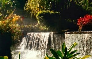 Costa Rica Travel Guide -Tabacon Hot Springs