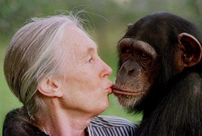 Wildlife Conservationist - Jane Goodall 
