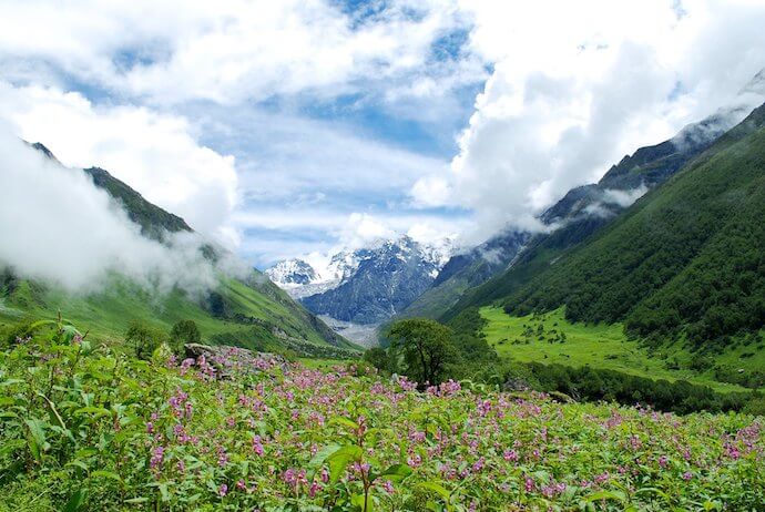 Valley of flowers Uttarakhand trek