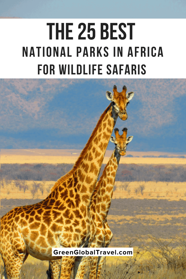 The 25 Best National Parks in Africa for Wildlife Safaris includes 10 different countries. | best safari parks | best time for african safari | african wildlife safaris | best african country for safari | best safari park in the world | best country in africa | wildlife and safari park | game parks in south africa | safari animals | animal safari park | africa safari park | largest game reserve in africa | best place to go on safari in africa | best country for safari