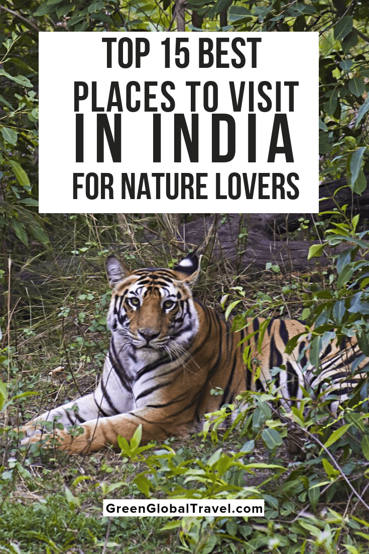 The 15 Best Places to Visit in India for Nature Lovers including the best time to visit India, Map of National Parks & Tiger Reserves in India & more! | holiday destinations in india | beautiful places in india | best holiday destinations in india | tourist attractions in india | Beautiful places to visit in india | best tourist places in india | places to see in india |places to go in india | top places to visit in india | best places to visit in india | famous tourist places in india
