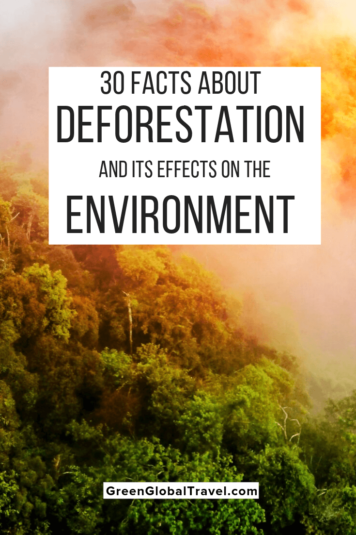 30 Facts About Deforestation & Its Effects On the Environment. Includes the causes of deforestation, examples of deforestation around the world, & deforest solutions. What is Deforestation | Causes of Deforestation | Environmental Effects of Deforestation | Examples of Deforestation | disadvantages of deforestation | deforestation and climate change | causes and effects of deforestation | how can we stop deforestation | Consequence of Deforestation | deforestation effects on animals