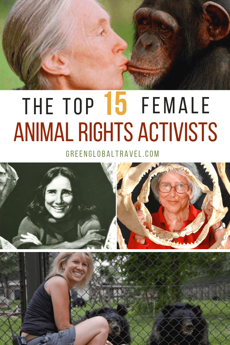 For Women's History Month & International Women's Day, we spotlight 15 Inspirational Women who are Wildlife Conservationists and Animal Rights Activists via @greenglobaltrvl #inspirationalwomen #inspirationalwomeninhistory #inspirationalwomencareer #inspirationalwomenlistof #animalrights #animalrightsactivist #animalrightsactivistpeople #wildlifeconservation #wildlifeconservationanimals #womenshistorymonth #internationalwomensday