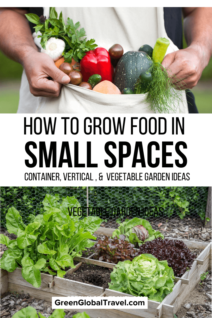 How to Grow Food in Small Spaces: Container Gardens, Vertical Gardens & Small Vegetable Garden Ideas for beginning gardeners. | small space garden design | gardening in small spaces | container gardening | best vegetables for small garden | gardening in a small space | best vegetables to grow in small spaces | plants for small gardens | best plants for small garden |small herb garden ideas | small veggie garden ideas | small space vegetable gardening | small herb garden | small space garden