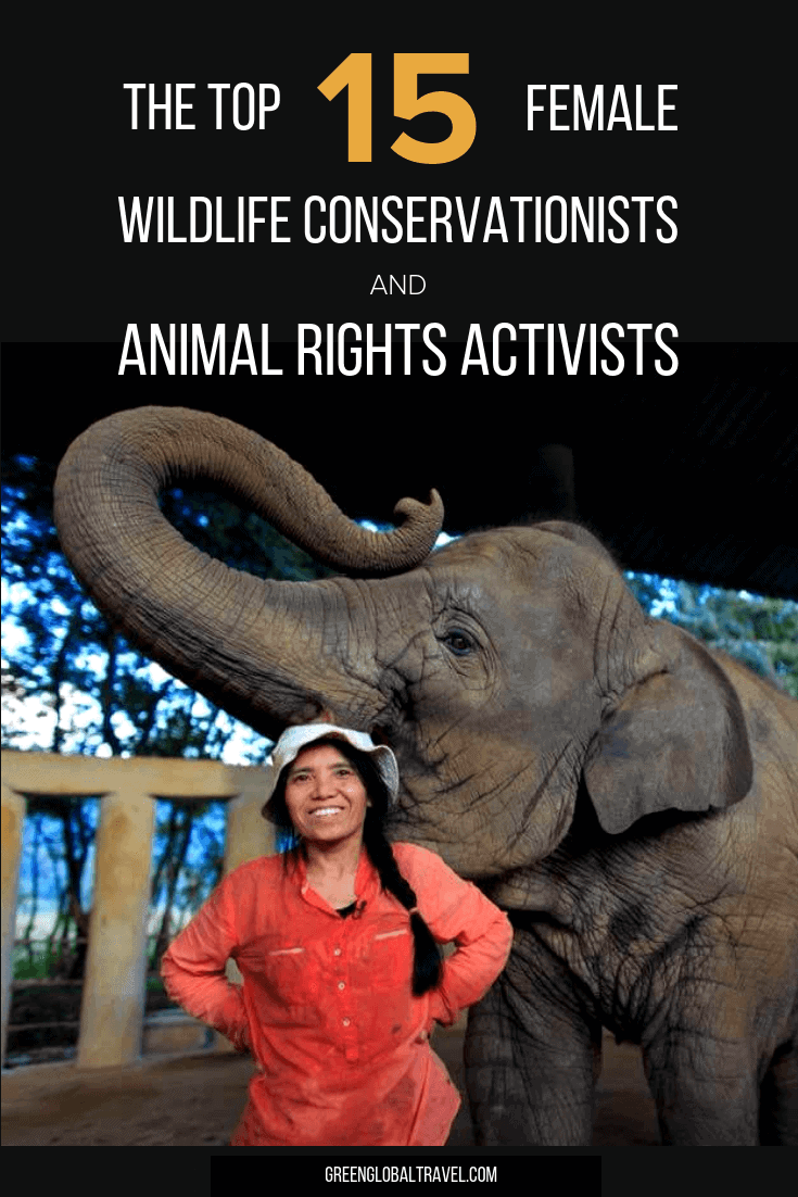 For Women's History Month & International Women's Day, we spotlight 15 Inspirational Women who are Wildlife Conservationists and Animal Rights Activists via @greenglobaltrvl #inspirationalwomen #inspirationalwomeninhistory #inspirationalwomencareer #inspirationalwomenlistof #animalrights #animalrightsactivist #animalrightsactivistpeople #wildlifeconservation #wildlifeconservationanimals #womenshistorymonth #internationalwomensday